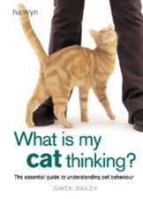 What is my Cat Thinking?: The essential guide to understanding your pet, Bailey,