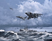 Sea Harrier Falklands War 1982