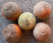 Five x Coney Beach Fairground