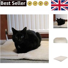 Modern Self-Heating Pet