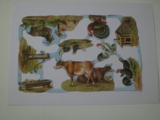 MAMELOK MLP SCRAPS, See