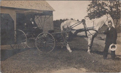 Horse transport postcard - transport,