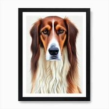 Saluki watercolour dog art - watercolour,