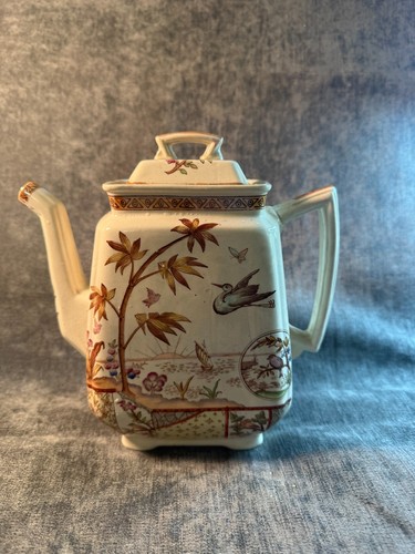 Edge malkin tonquin polychrome - malkin,