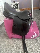 Amerigo Pinerolo Dressage