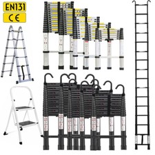 Telescopic Ladder