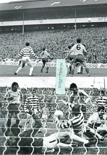 Celtic partick thistle - celtic,