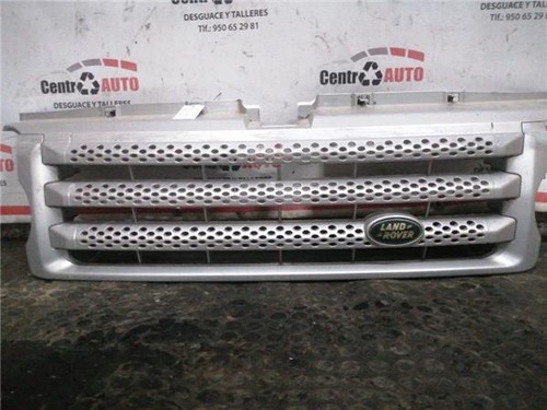 Front bumper grille - front,