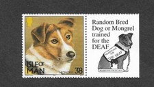 DOGS RANDOM MONGREL  PETS ISLE OF MAN 1996