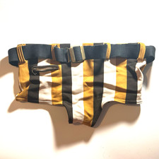 1970s Vintage Swimming trunks