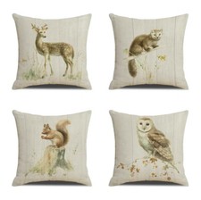 Wildlife Forest Owl Deer