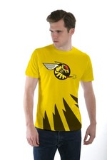 Buzzin' Hornets Jordan Formula