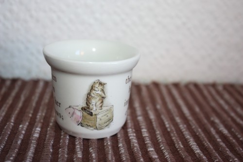 Wedgwood the kitten - wedgwood,