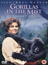 Gorillas in the Mist: The