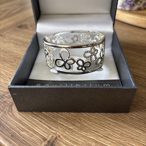 Equilibrium silver hinged - silver,