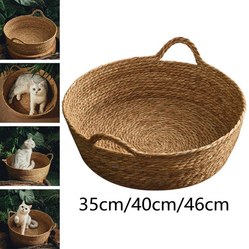 Cat bed basket - bed, kitten
