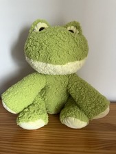 Frog Soft Toy