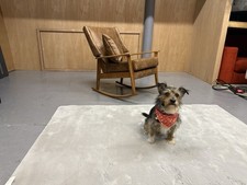 Mid Century Petite Rocking Chair Newly Upholstered In Antique 'Smart' Leather