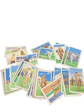 PARK DRIVE Cigarette Cards Champions Series Sports Collectible Set