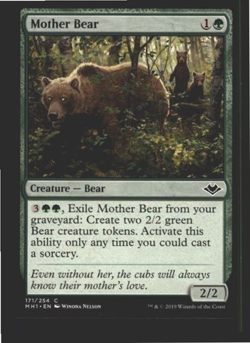 Mother bear 171 common - mother,