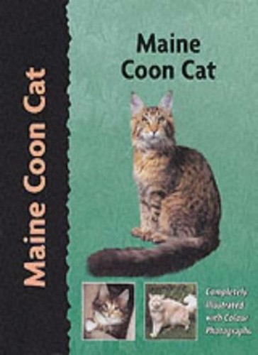 Maine coon cat by - (pet,