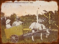 KIDS IN GOAT CART TRACY CITY