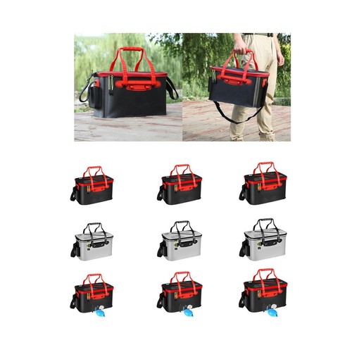 Live fish bait - fish,