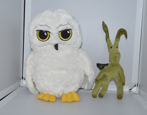 Harry potter hedwig white owl - harry,