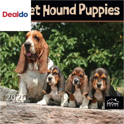 Basset hound puppies 2026 - basset,