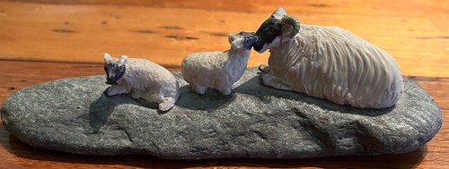 Lochaber studios sheep - sheep, on