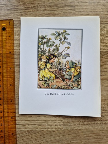 Cicely mary barker the - cicely,