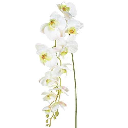 Orchid phalaenopsis artificial - orchid,