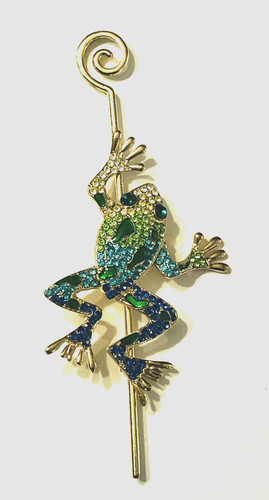 Climbing frog amphibian - climbing,