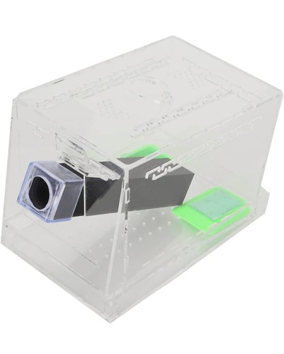 Reptile tank box with food - tank,