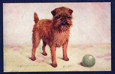 BRUSSELS GRIFFON (Bruxellois) - Spratts Dog Postcard Illustrated by F.T. Daws