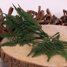 Artificial Asparagus Fern - 12