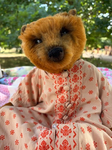 Futch artist bear baby - artist,