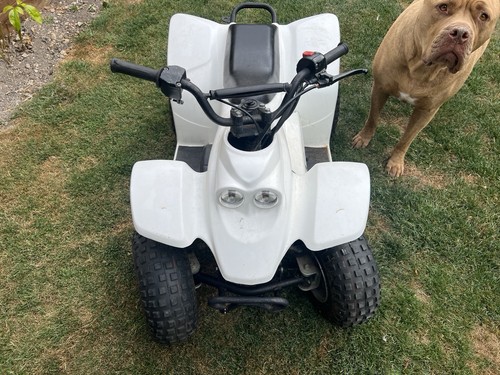Child quad bike 50cc - child's,