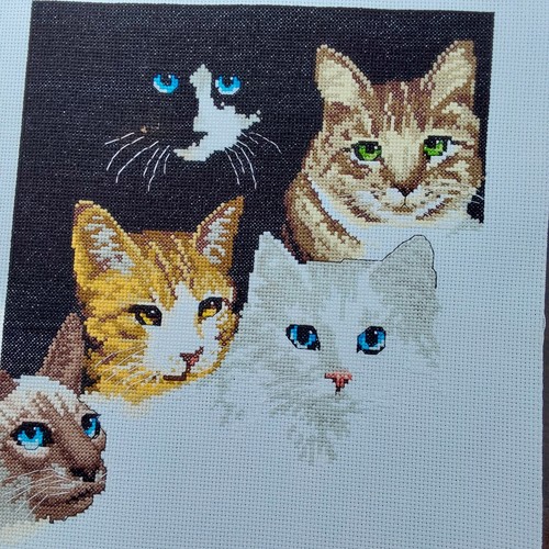 Counted cross stitch cats eyes - counted,