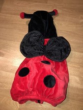 Red Black Ladybug / Ladybird Costume 9-12 Months Halloween Dream Play Imagine