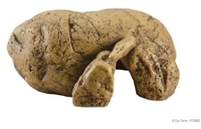 Exo Terra Reptile Cave Ideal