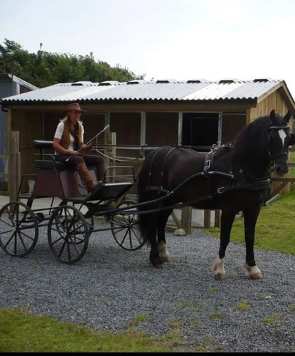 Fenix carriage - fenix,