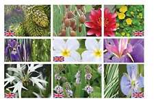 Lincolnshire Marginal Pond Plants Premium Small Pond Pack Starter - Top-Up - ...