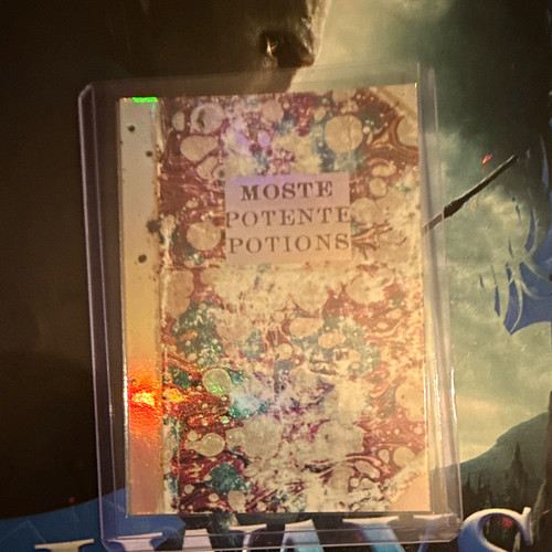 Panini hogwarts magical - hogwarts,