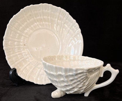 Antique sea shell - antique,