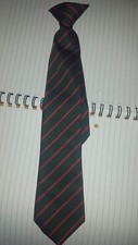 Green with Red Stripe Clip On