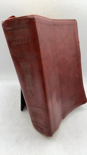 Esv study bible hardcover - study,