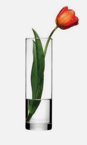 Tall glass vase for - vase,