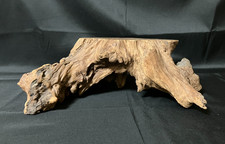 Root Wood Display Stand Bonsai