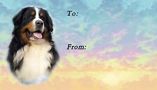 Bernese Mountain Dog Self Adhesive Gift Labels by Starprint 